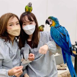 鳥のいるカフェ浅草
