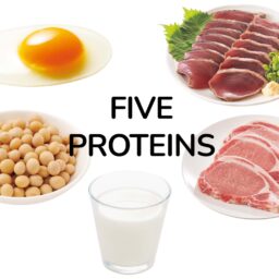 筋肉維持のため5つのたんぱく質をバランスよくとって