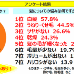 アンケート結果