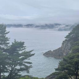 三陸の海