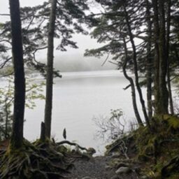 吉川千明さんの素敵ブログ。北八ヶ岳にあるもののけの森。