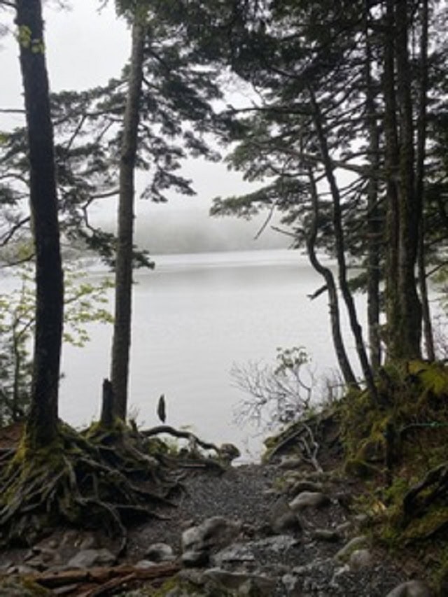 吉川千明さんの素敵ブログ。北八ヶ岳にあるもののけの森。