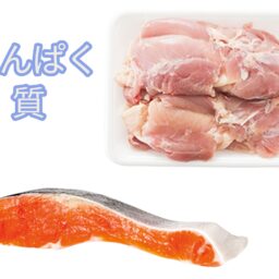 たんぱく質