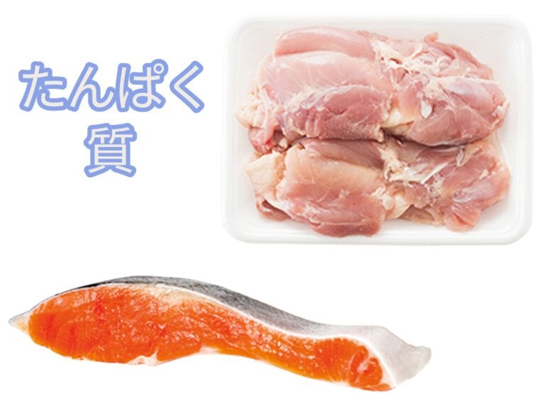 たんぱく質