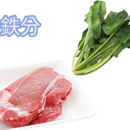 鉄分