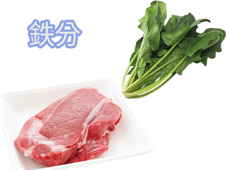 鉄分