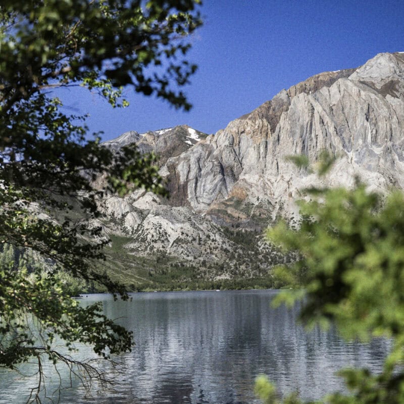 【旅行】美しさに感動！大自然に囲まれたカリフォルニア「マンモスレイク」へ！旅好きフォトグラファーが出合った五感を刺激する旅体験