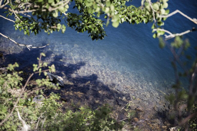上から見ると水底が見えるほど水が透き通っているのがわかる