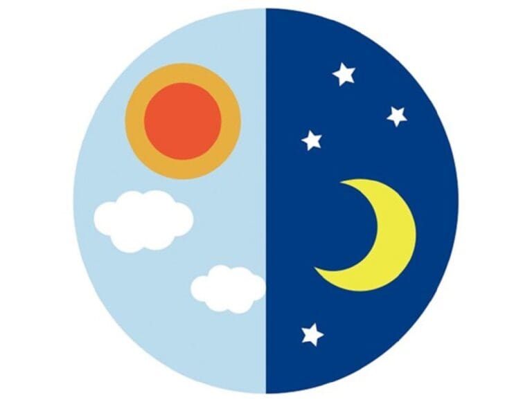 秋バテの原因は？