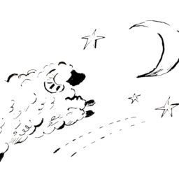 一度眠ることで眠気がリセット！遅めの昼寝や夕寝