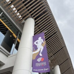 世界陸上の旗