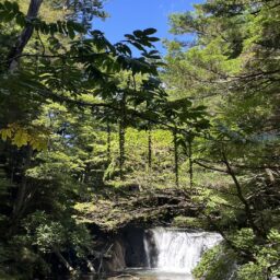 湯滝と湯滝裏の散歩道
