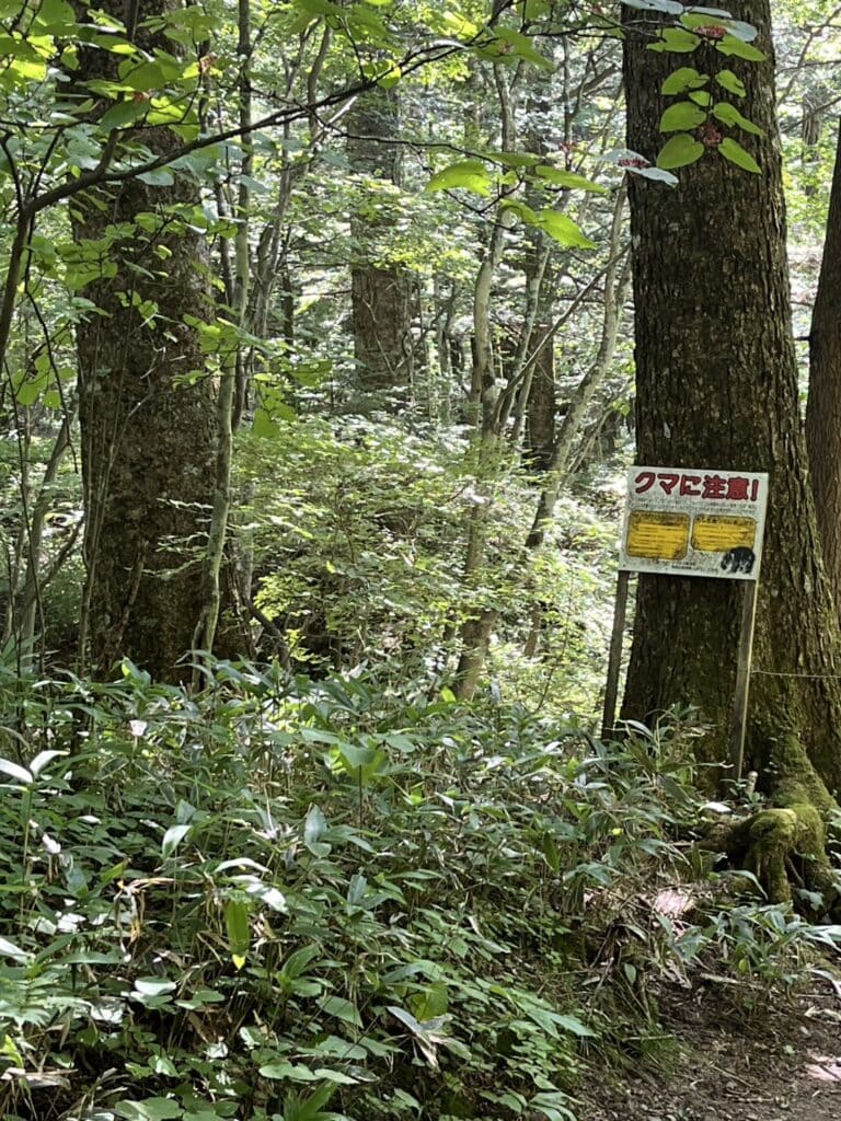 湯滝と湯滝裏の散歩道