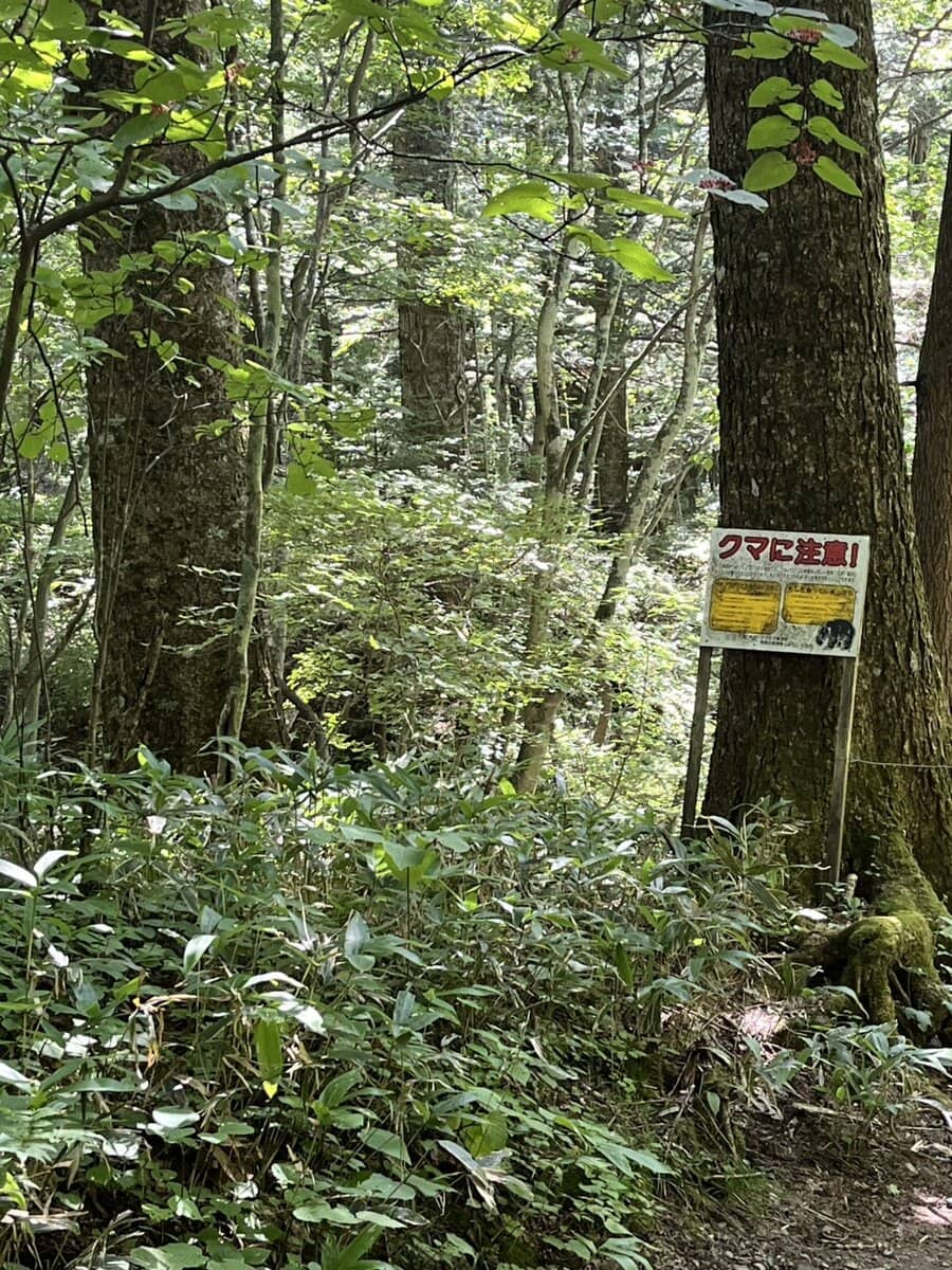 湯滝と湯滝裏の散歩道