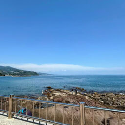 琴ヶ浜の全景