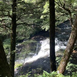 湯滝と湯滝裏の散歩道