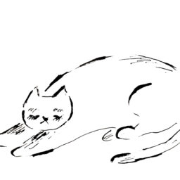 睡眠にまつわるQ&A