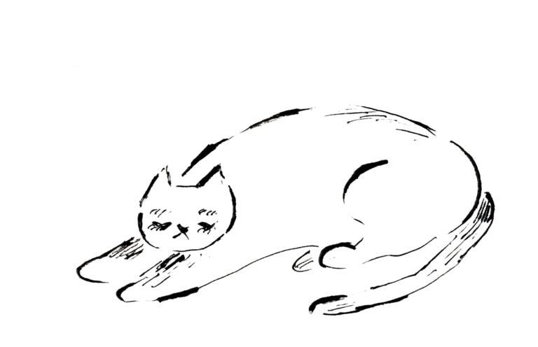 睡眠にまつわるQ&A