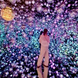 麻布台ヒルズ「チームラボ ボーダレス」