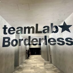 麻布台ヒルズ「チームラボ ボーダレス」