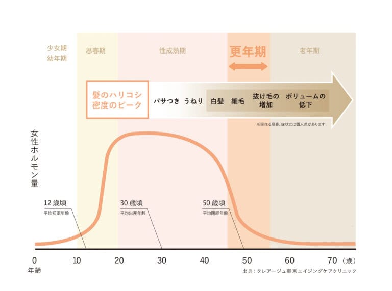 つき合い方【1】女性ホルモンの分泌量の低下とともに髪質も変化する
