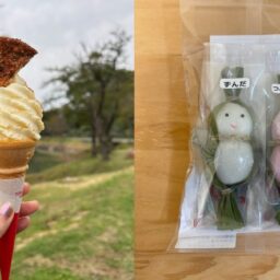 道の駅いりひろせ　グルメ