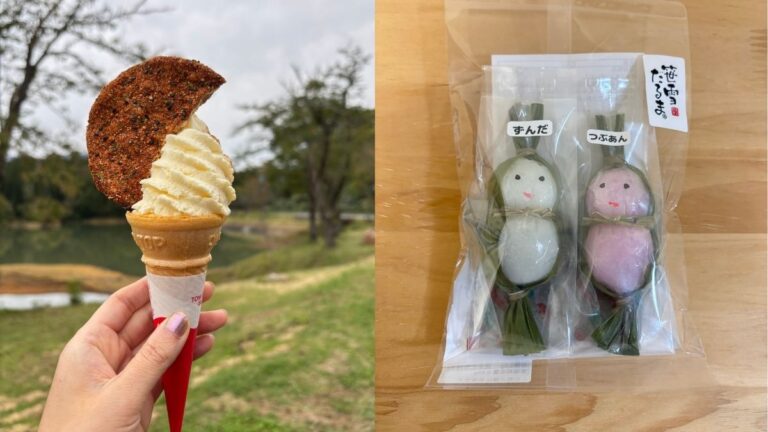 道の駅いりひろせ　グルメ