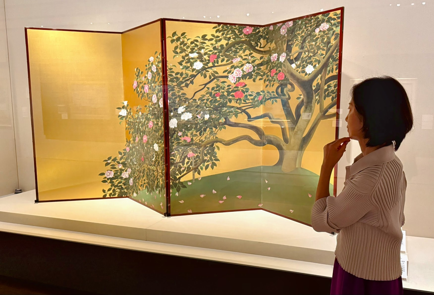 速水御舟《名樹散椿》【重要文化財】山種美術館