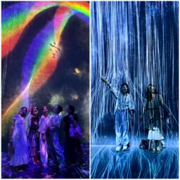 麻布台ヒルズ「チームラボ ボーダレス」