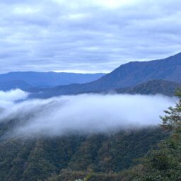 新潟県魚沼市　滝雲
