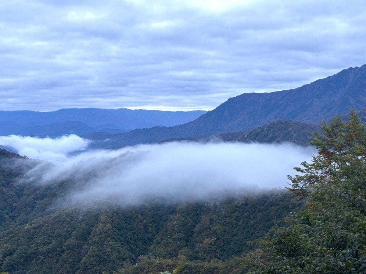新潟県魚沼市　滝雲