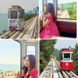 韓国で海沿いを走る小さな列車「スカイカプセル」
