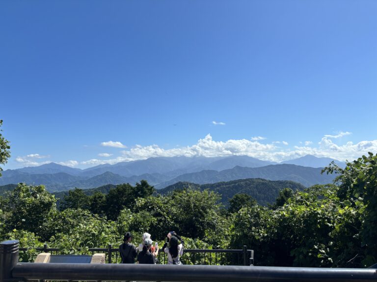 低山おすすめ　高尾山　山頂　眺め