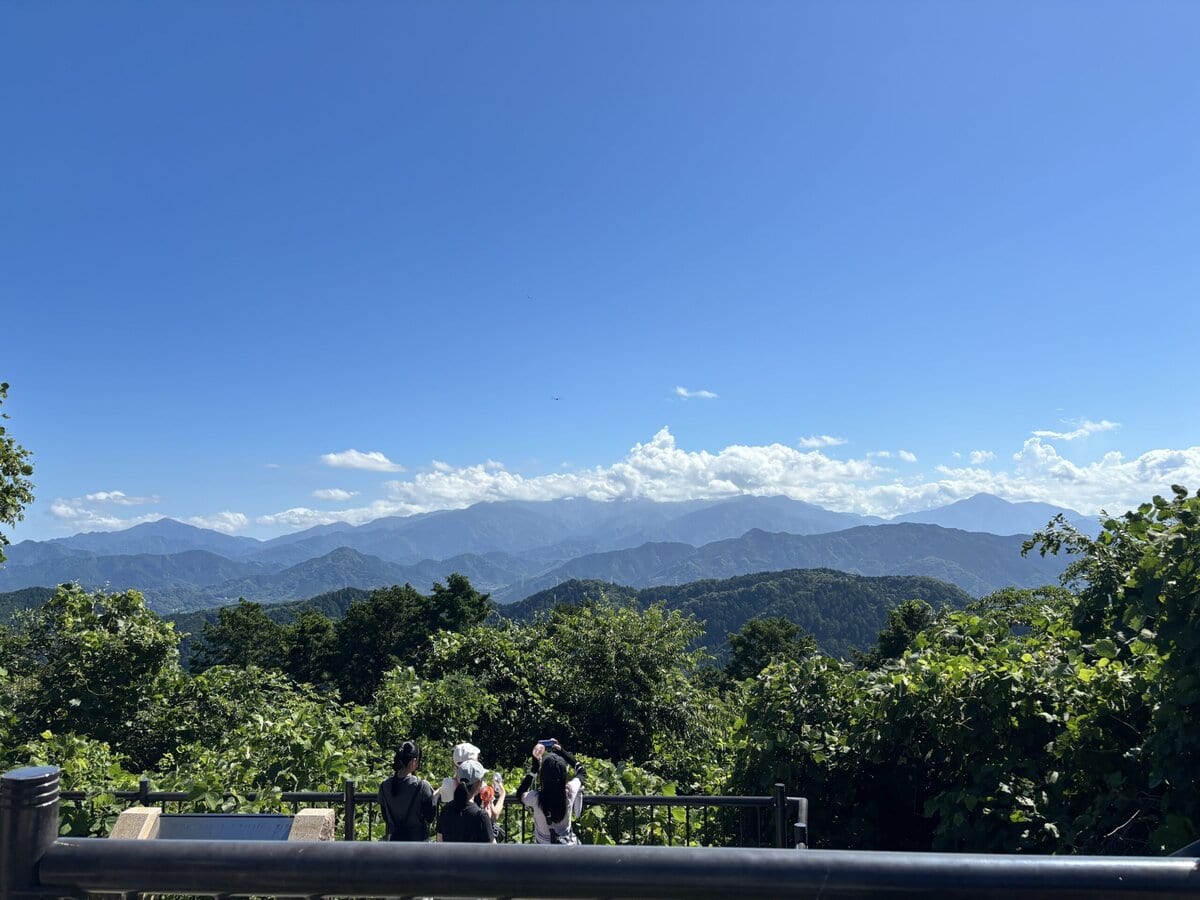 低山おすすめ　高尾山　山頂　眺め