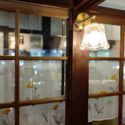 サカノシタの美しいランプ