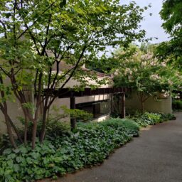 代官山IVY PLACE外観