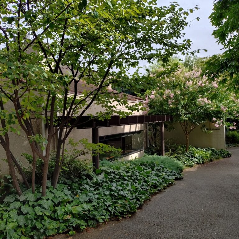 代官山IVY PLACE外観