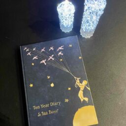 星の王子様の10年日記