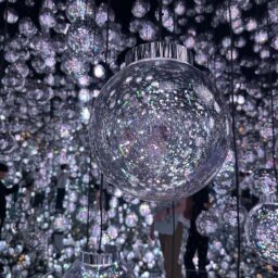 麻布台ヒルズ「チームラボ ボーダレス」