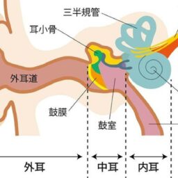 低気圧が自律神経に負担をかける！低気圧不調のメカニズム