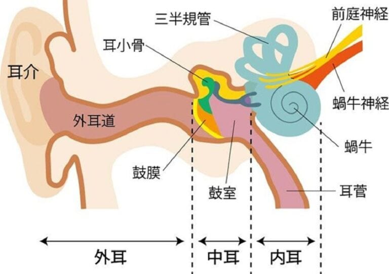 低気圧が自律神経に負担をかける！低気圧不調のメカニズム