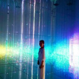 麻布台ヒルズ「チームラボ ボーダレス」