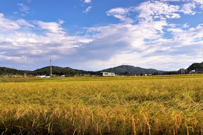 新潟県魚沼市　田園　秋
