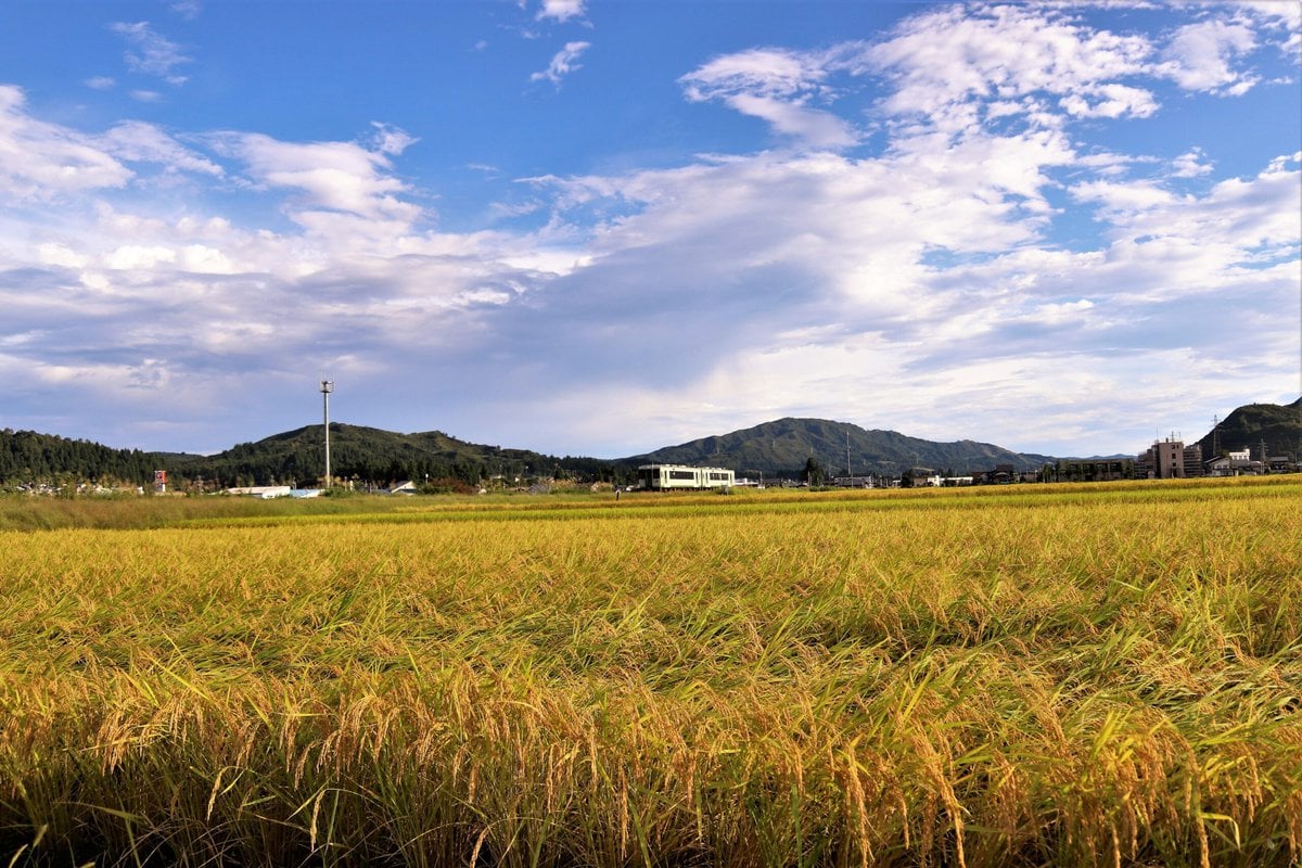 新潟県魚沼市　田園　秋