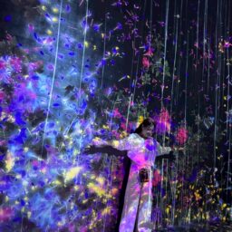 麻布台ヒルズ「チームラボ ボーダレス」