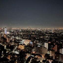 きれいな夜景