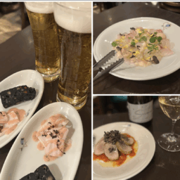 kotokoさん_コンサート後のディナー