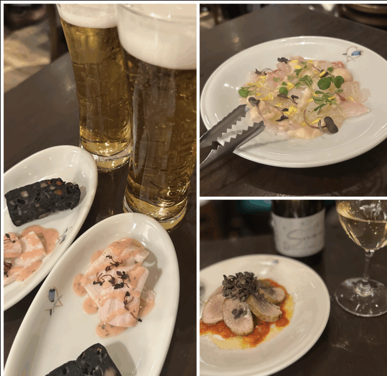 kotokoさん_コンサート後のディナー