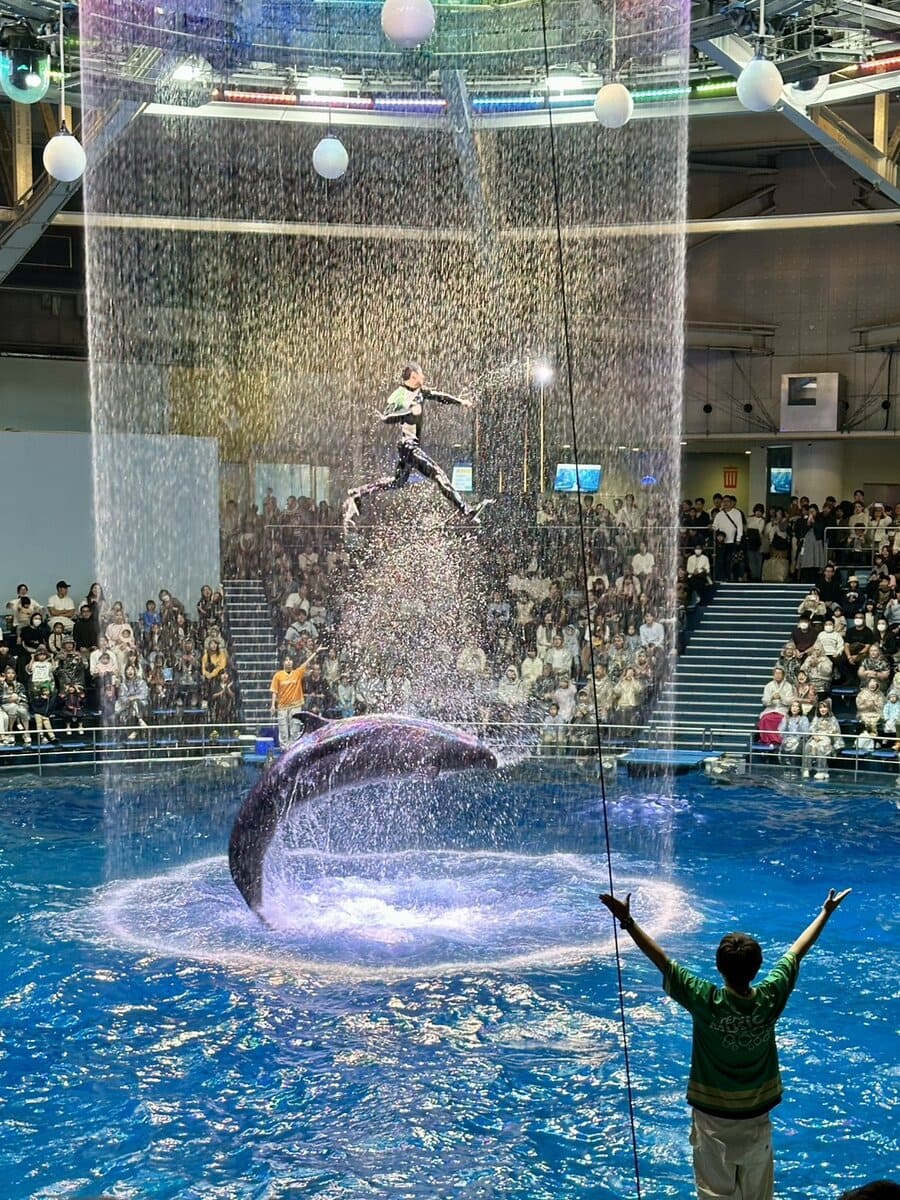 「アクアリウム品川」　イルカとお兄さん