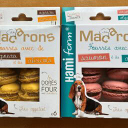犬用マカロン